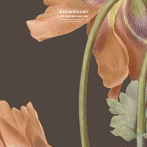 35很燃吖微博至尊版
